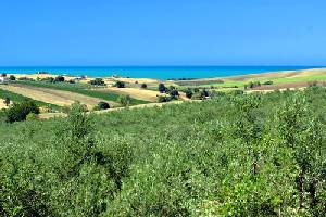 Ski Lodges, Mountain Refuges, Characteristic B&Bs and simply nice places to stay in Italy and the Italian Alps.